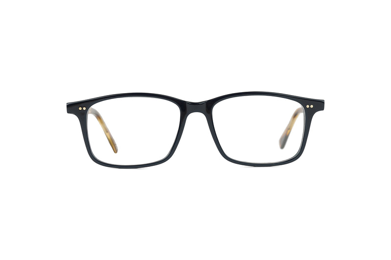 DELAMAR - Monture Homme Acetate